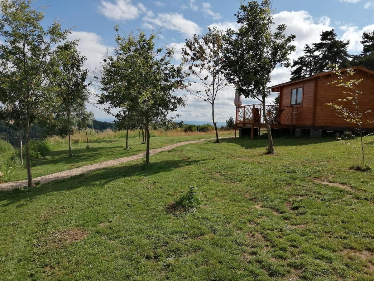 Le Chalet Des Etoiles Champagnac-le-Vieux Exterior foto